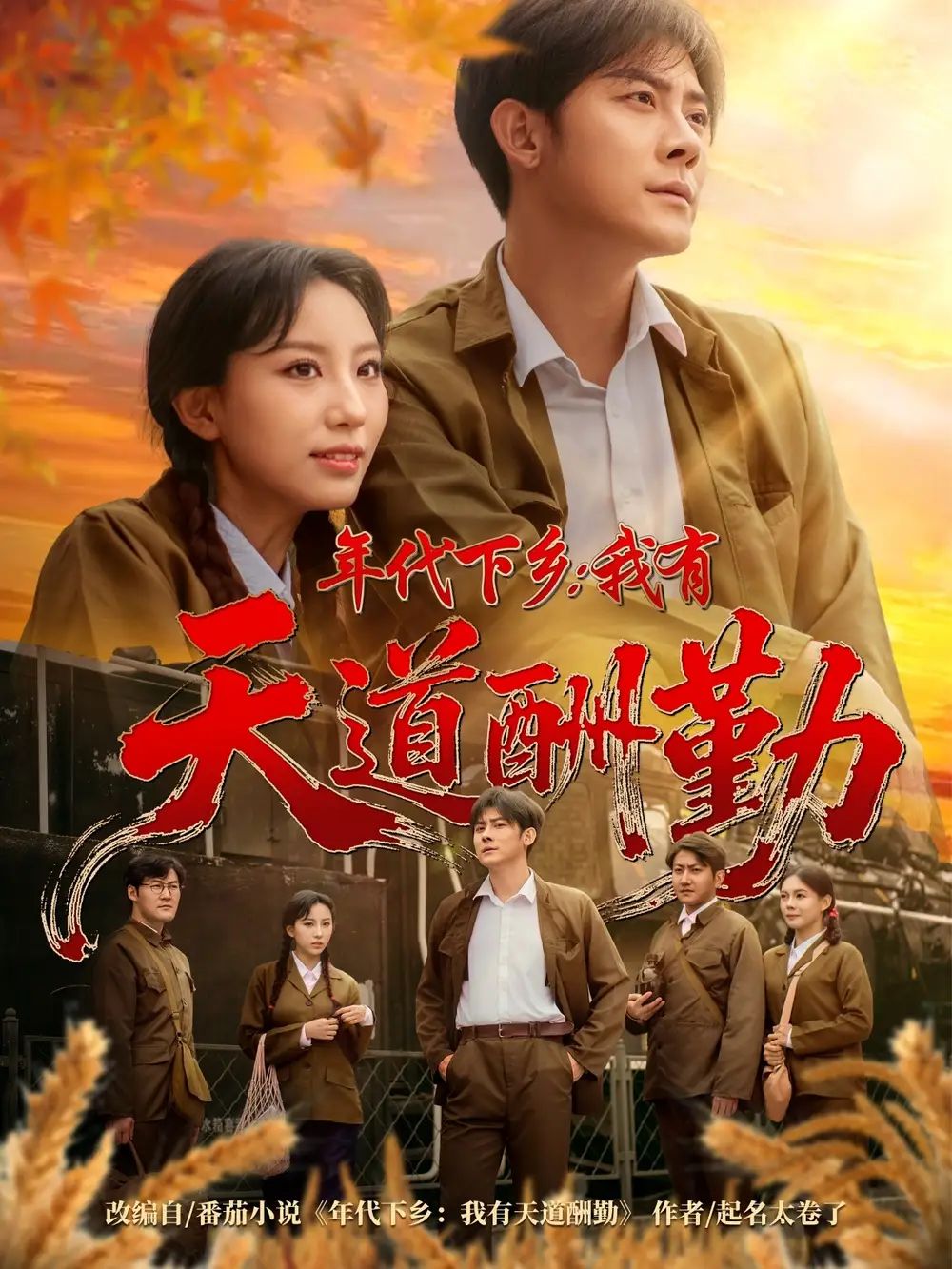 短剧《年代下乡我有天道酬勤》高清完整版全集免费在线观看大结局