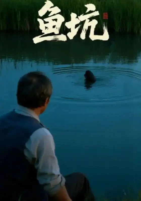 短剧《鱼坑》高清完整版全集免费在线观看大结局