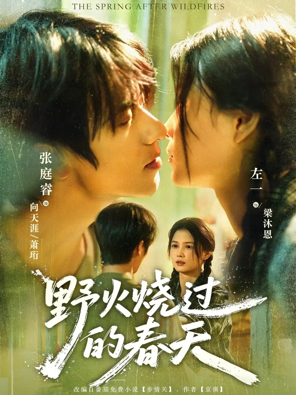 野火烧过的春天（85集）张庭睿＆左一海报