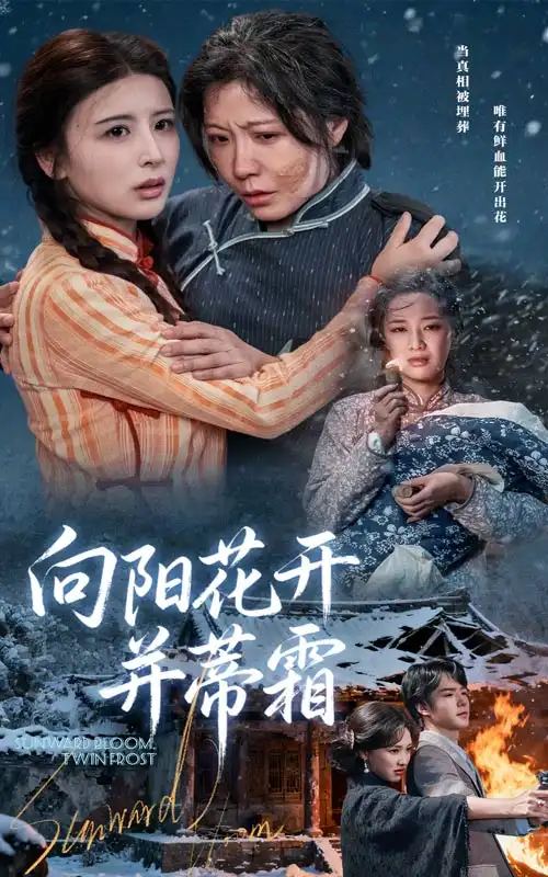 向阳花开并蒂霜（60集）燕颢元&李沁霏海报