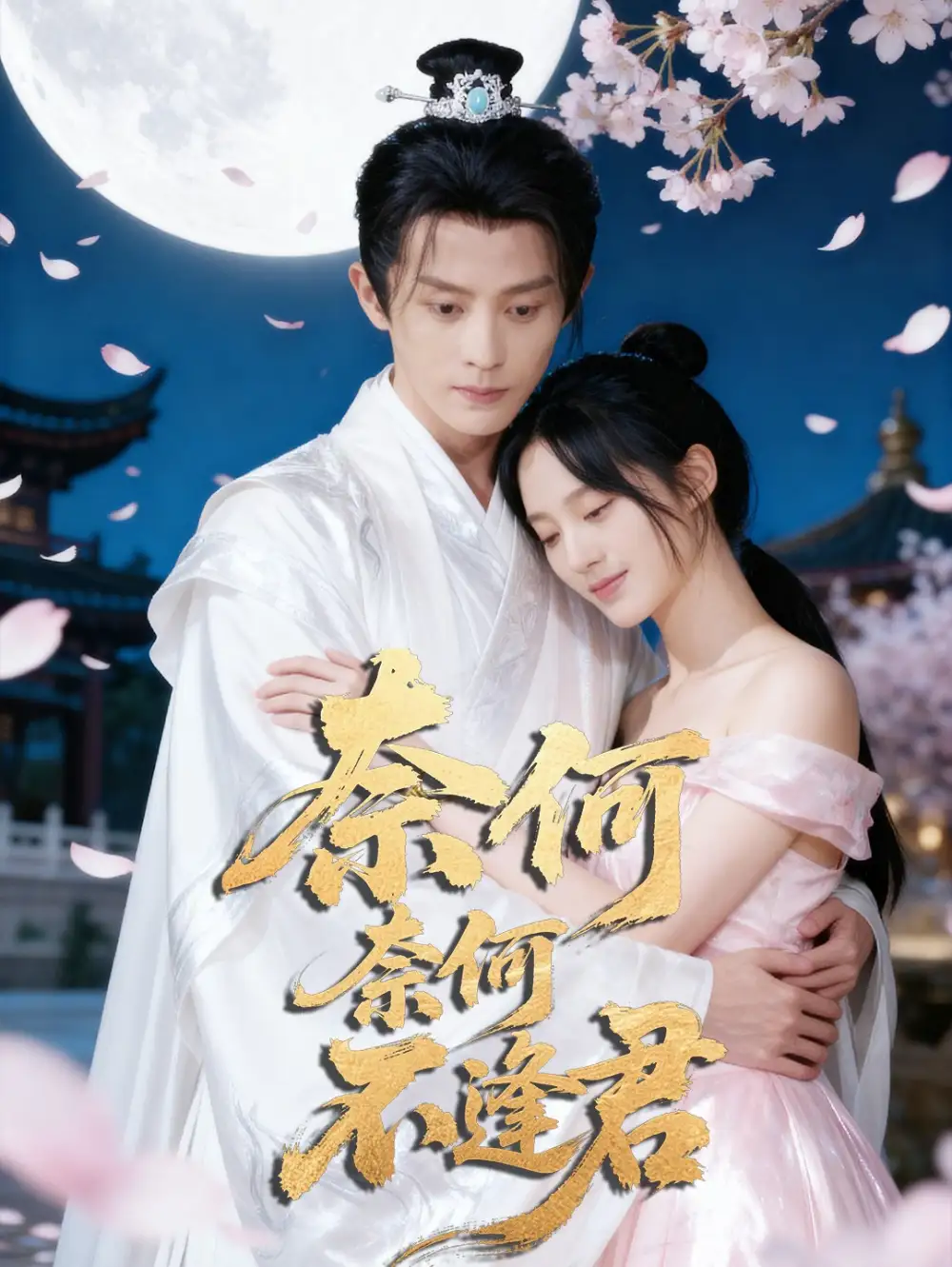 短剧《奈何奈何不逢君》高清完整版全集免费在线观看大结局