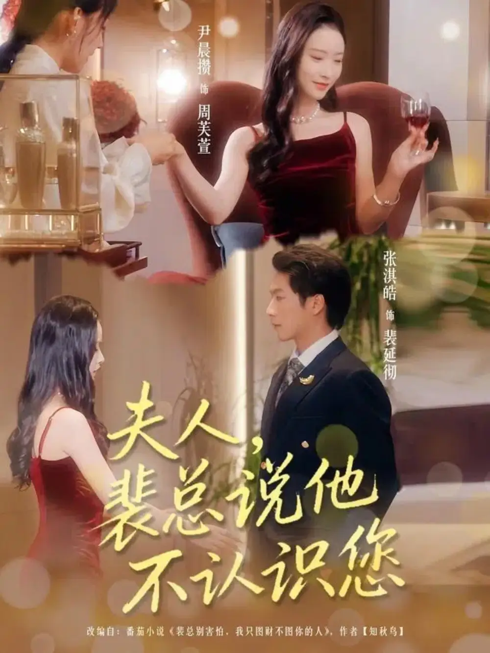 短剧《夫人裴总说他不认识您》高清完整版全集免费在线观看大结局