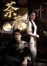 荼蘼（61集）杨一&刘子洋海报