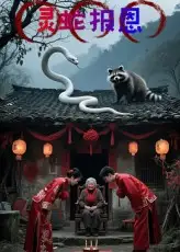 短剧《灵蛇报恩》高清完整版全集免费在线观看大结局