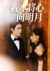 我本将心向明月（74集）张星颖海报