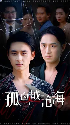 短剧《孤鸟越沧海》高清完整版全集免费在线观看大结局