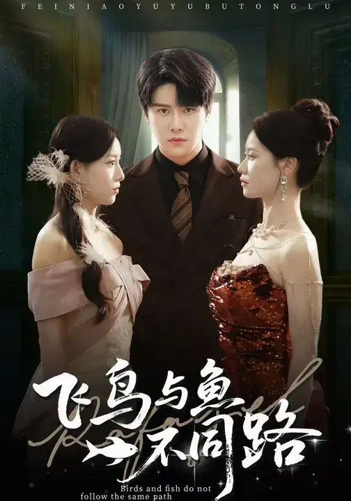 短剧《飞鸟与鱼不同路》高清完整版全集免费在线观看大结局