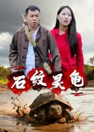 石纹灵龟（30集）王浩&刘灵海报