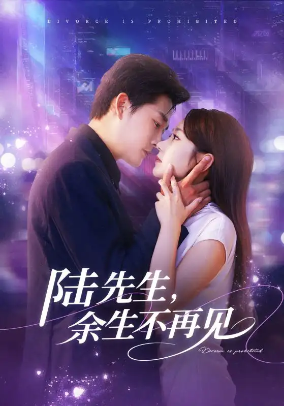 陆先生，余生不再见（88集）张旋＆孟嘉鑫海报