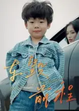 短剧《车毁前程》高清完整版全集免费在线观看大结局