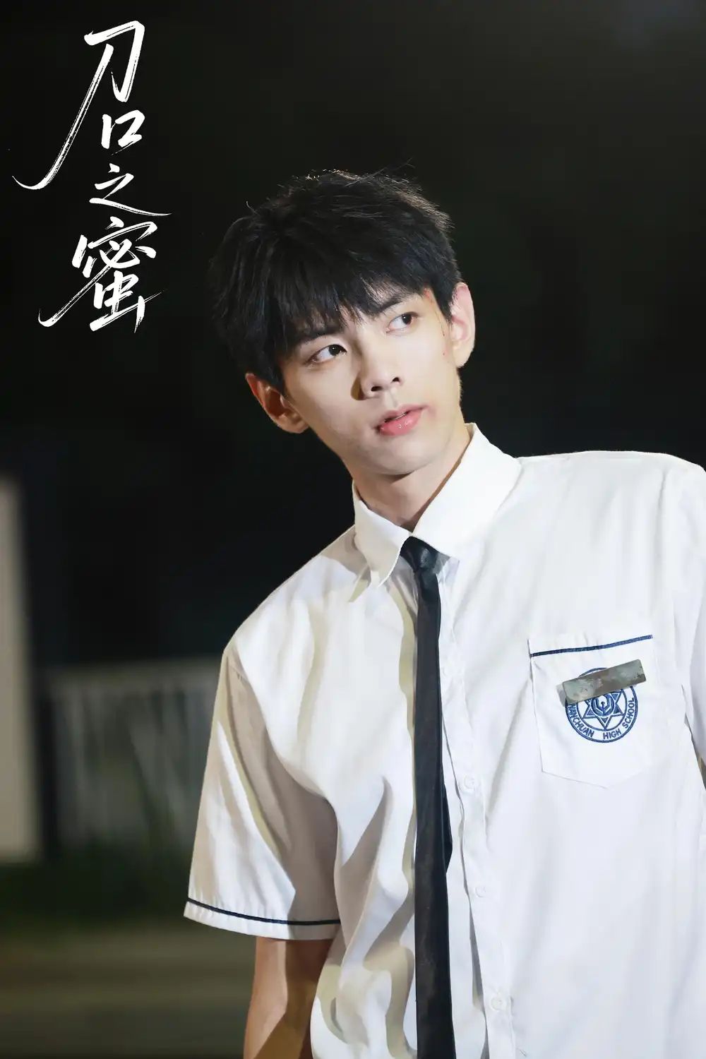 刀口之蜜（46集）刘晏辰&王年将成海报