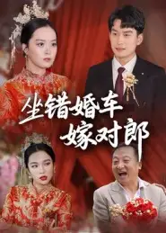 坐错婚车嫁对郎（32集）钟俞&马皓海报