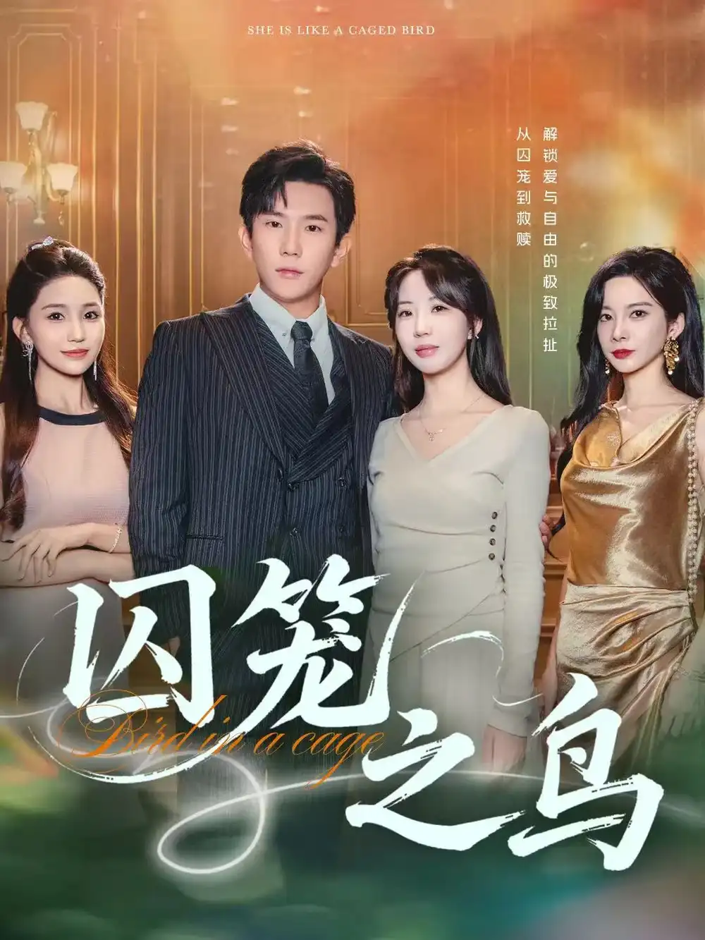 短剧《囚笼之鸟》高清完整版全集免费在线观看大结局