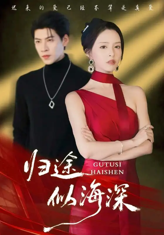 归途似海深（61集）刘蔓莉&王为洋海报