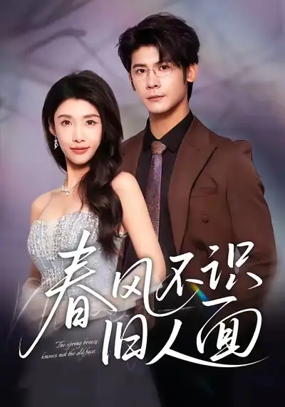 短剧《春风不识旧人面》高清完整版全集免费在线观看大结局