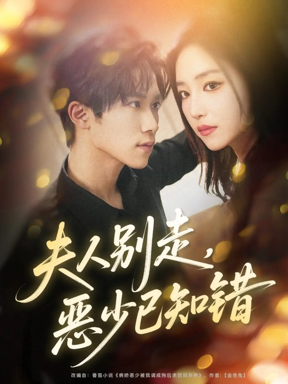 短剧《夫人别走恶少已知错》高清完整版全集免费在线观看大结局