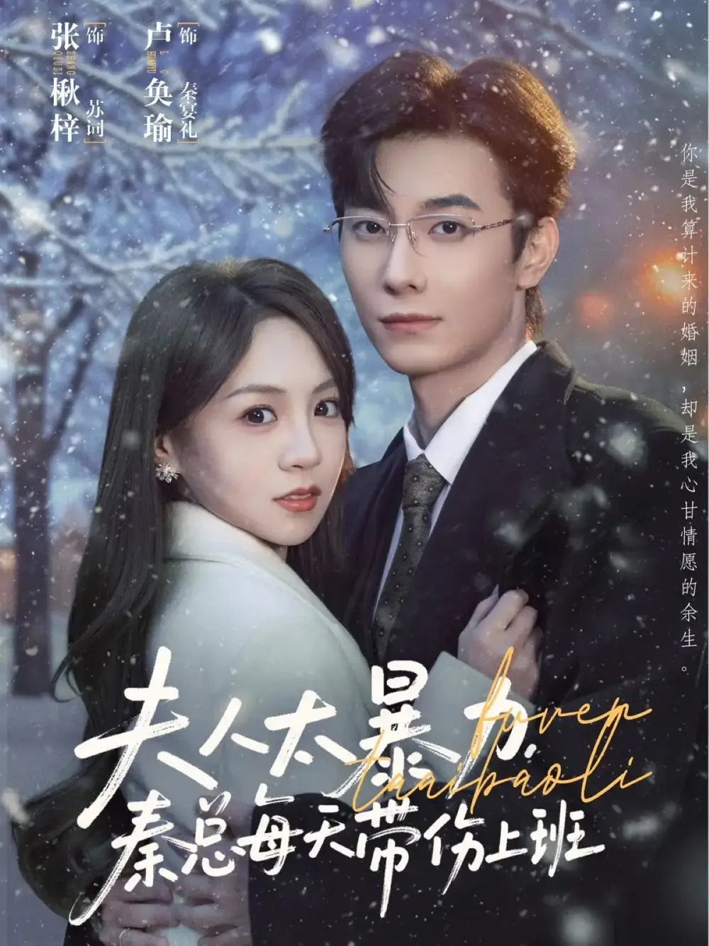 夫人太暴力,秦总每天带伤上班(80集)卢奂瑜&张楸梓高清海报图片 夫人太暴力,秦总每天带伤上班(80集)卢奂瑜&张楸梓海报