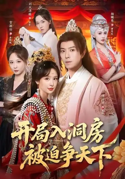 开局入洞房,被迫争天下(88集)傅汉源&姜熙饶高清海报图片 开局入洞房,被迫争天下(88集)傅汉源&姜熙饶海报