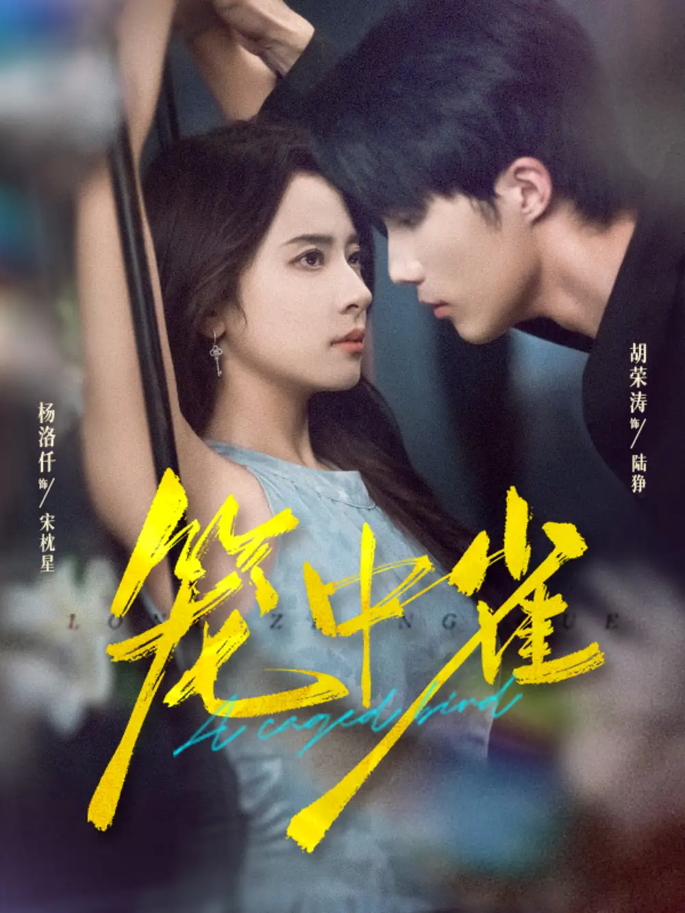 笼中雀(65集)胡荣涛&杨洛仟高清海报图片 笼中雀(65集)胡荣涛&杨洛仟海报